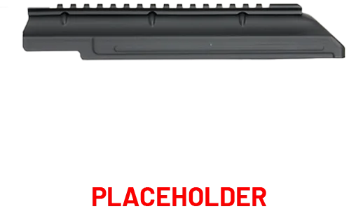 AK74u Dust Cover