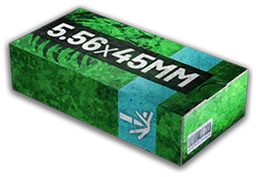 5.56mm Flesh Damage (HP)