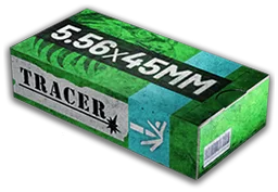 5.56mm Flesh Damage (HP)
